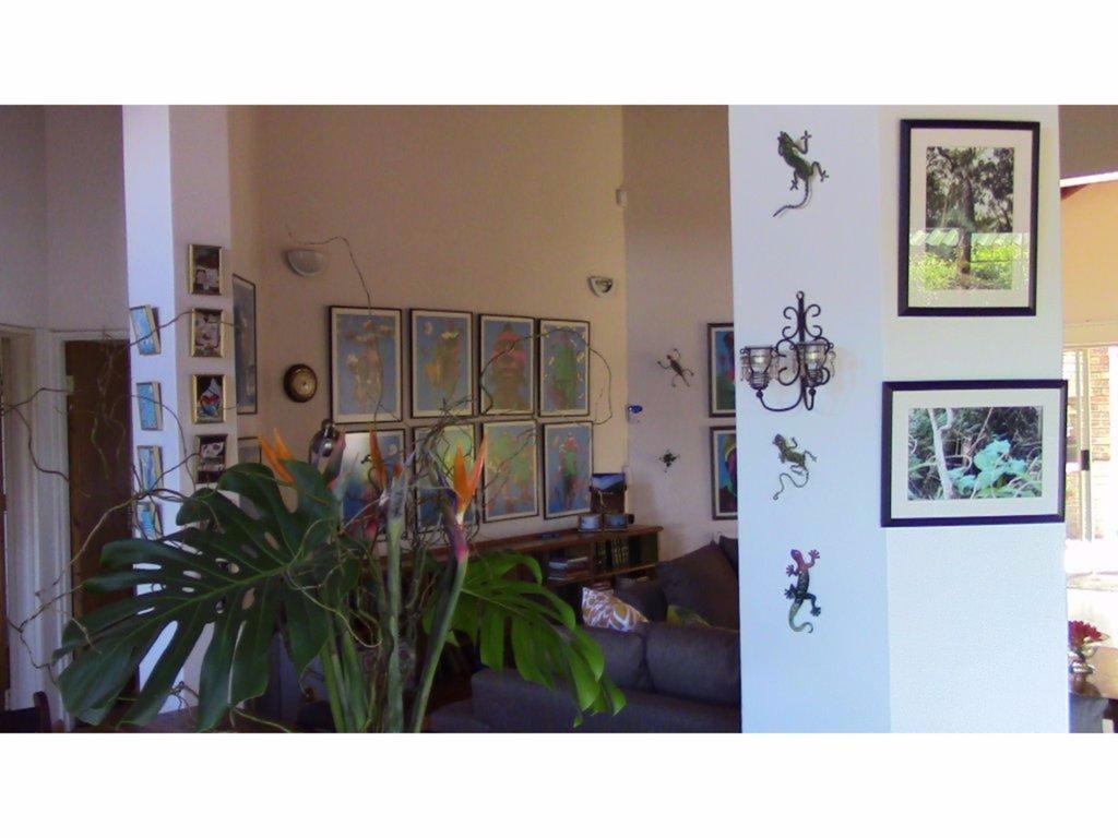 Forest Nest Cottage, Tsitsikamma สตอร์มริเวอร์ ห้อง รูปภาพ