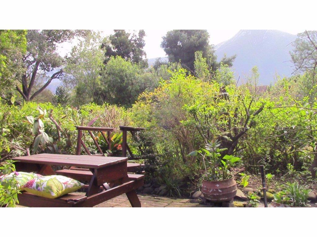 Forest Nest Cottage, Tsitsikamma สตอร์มริเวอร์ ภายนอก รูปภาพ