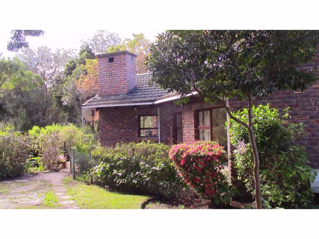 Forest Nest Cottage, Tsitsikamma สตอร์มริเวอร์ ภายนอก รูปภาพ
