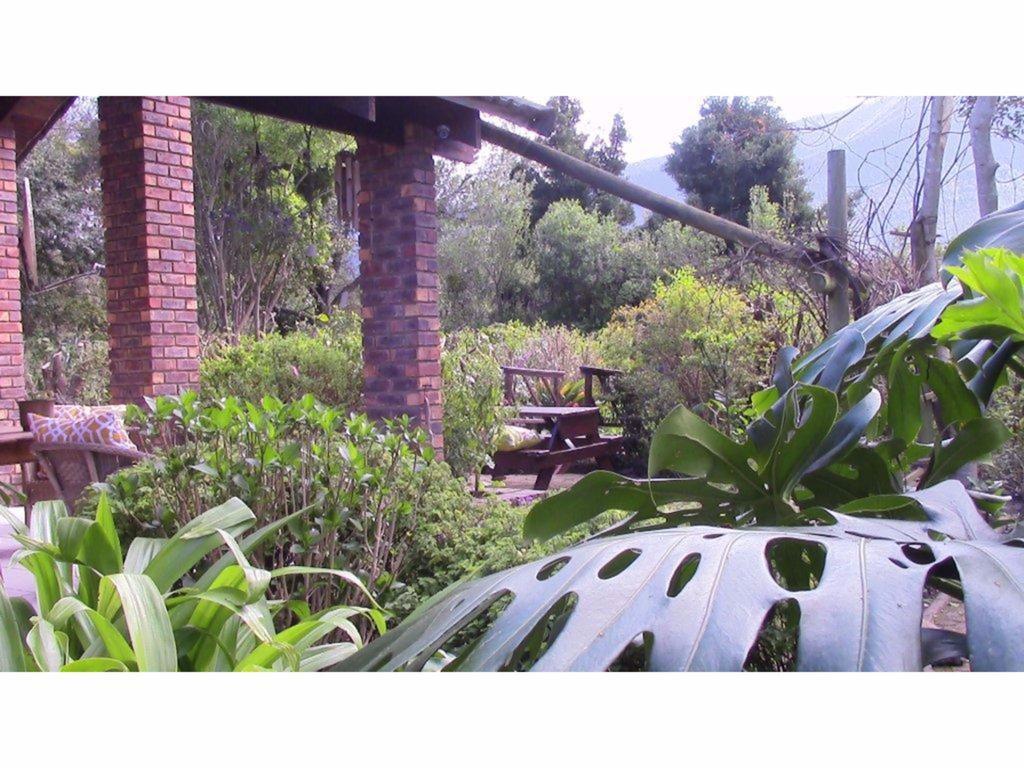 Forest Nest Cottage, Tsitsikamma สตอร์มริเวอร์ ภายนอก รูปภาพ